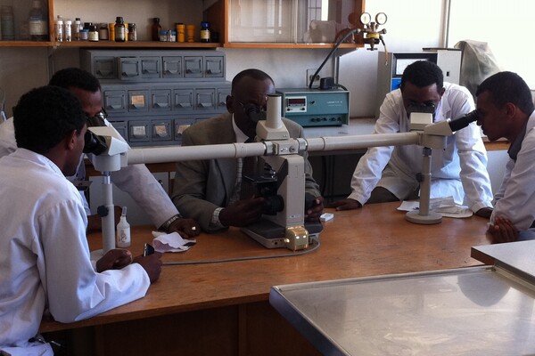 Hematology teaching
